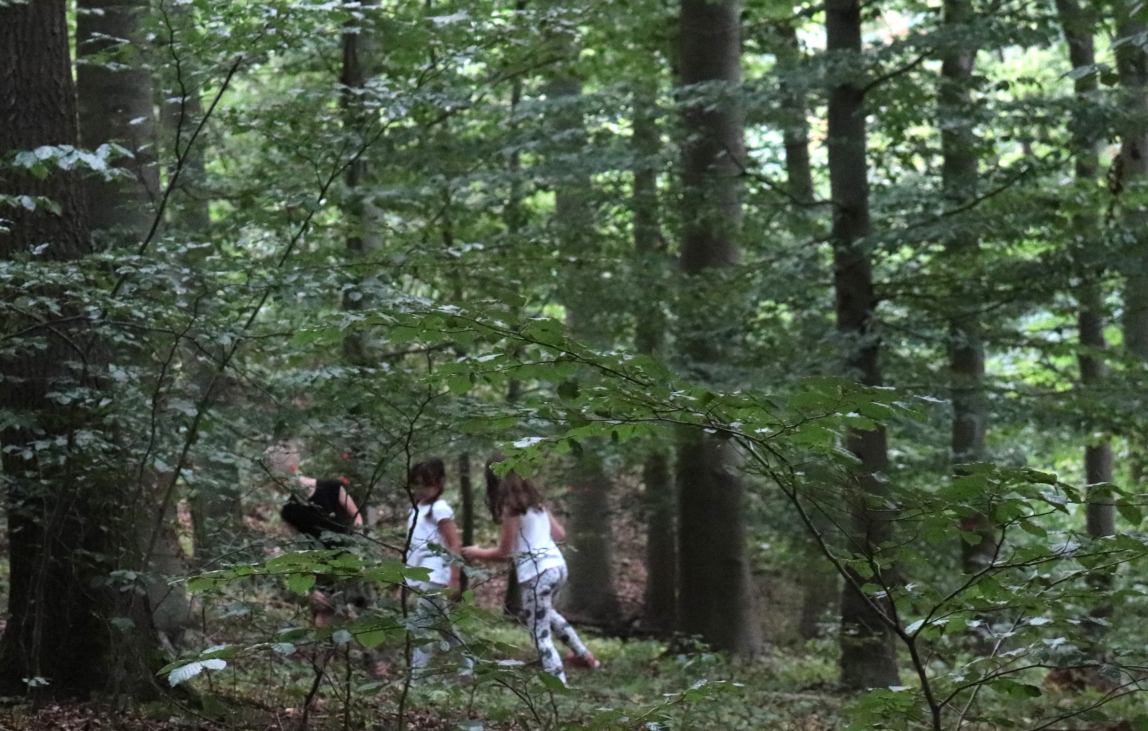KiTas im Wald