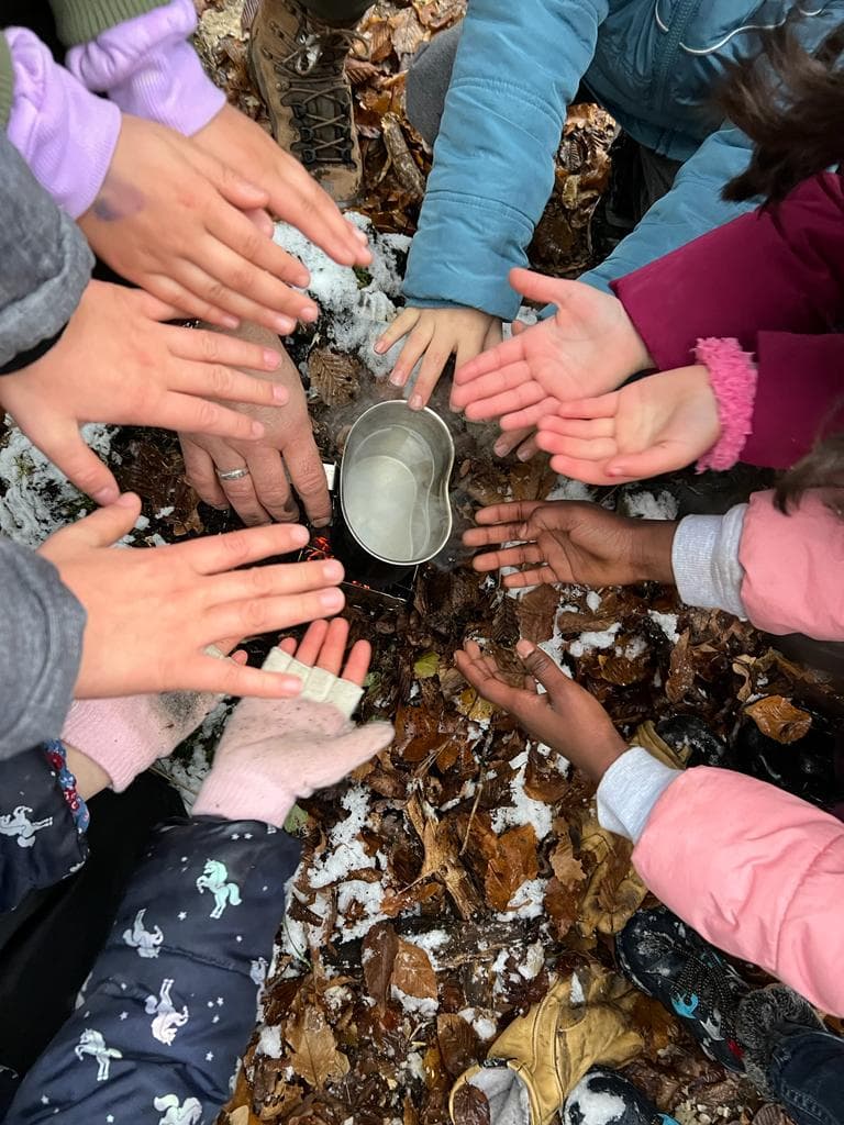 Schulklassen im Wald